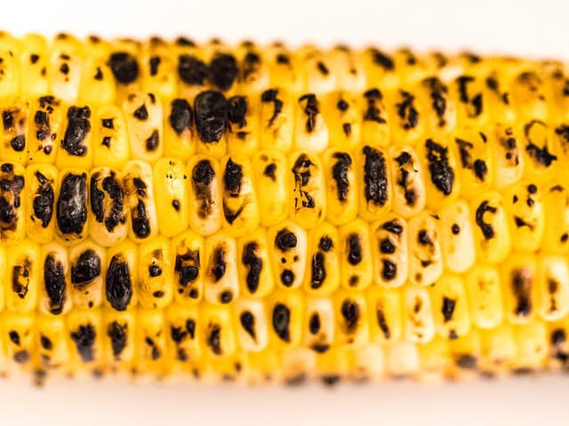 Maïs grillé